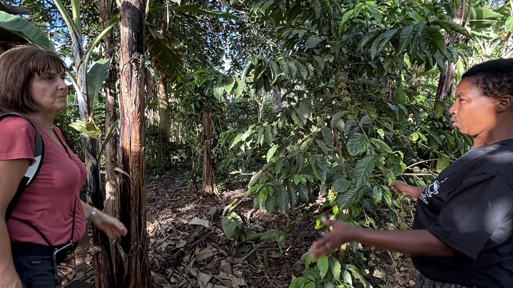 Serah Foundation farm visit — meaningful for solo women travellers