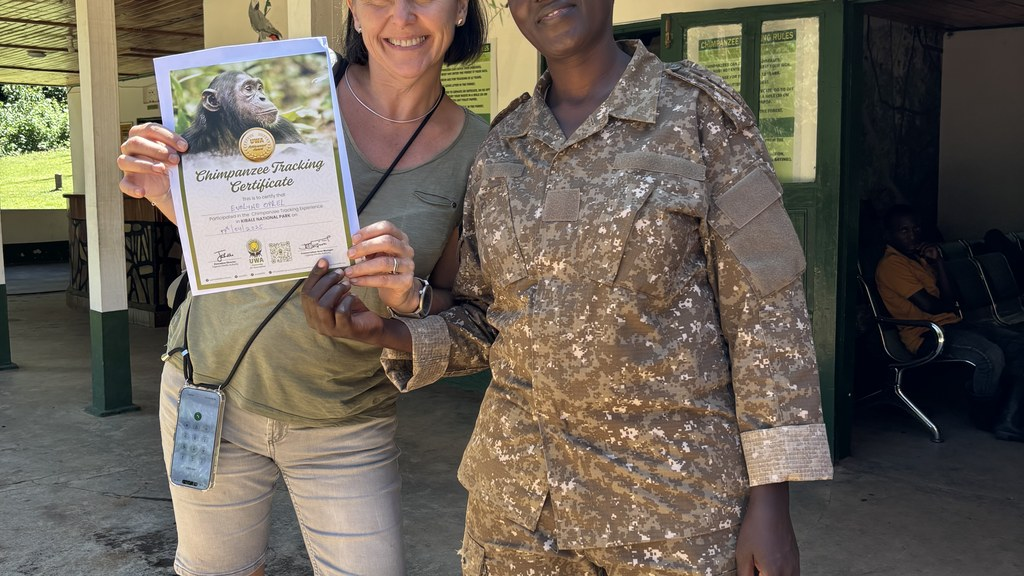 Chimp tracking certificate with UWA ranger in Kibale