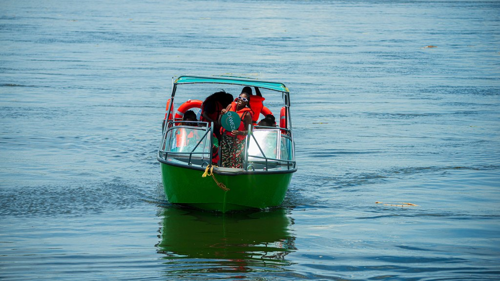 10-Day Wildlife, Big 5, Chimpanzee, and Gorilla Safari