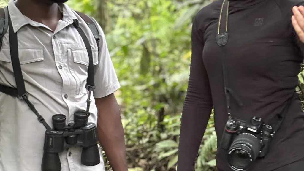 Mwanzo guide on a steep Bwindi forest trail