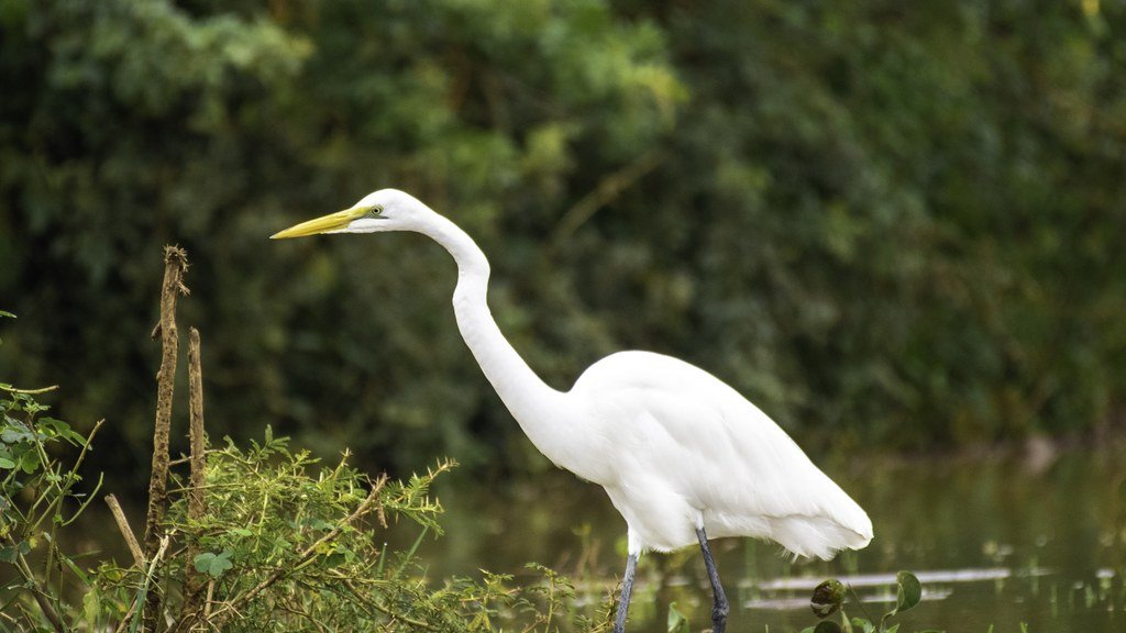 3-Day Murchison Falls NP Safari Adventure - Midrange