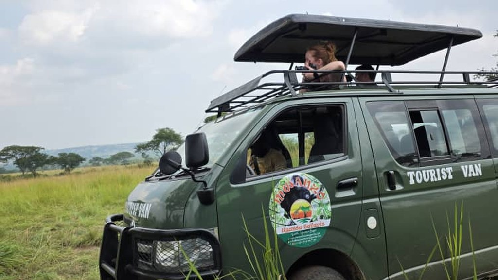Daniel safari guide