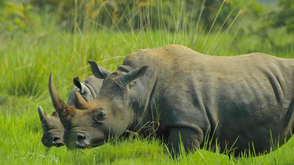 Murchison Falls