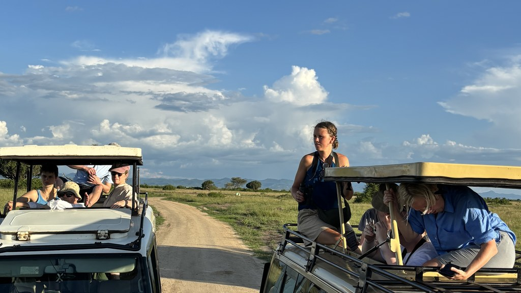 Golden-hour game drive in Queen Elizabeth or Murchison Falls