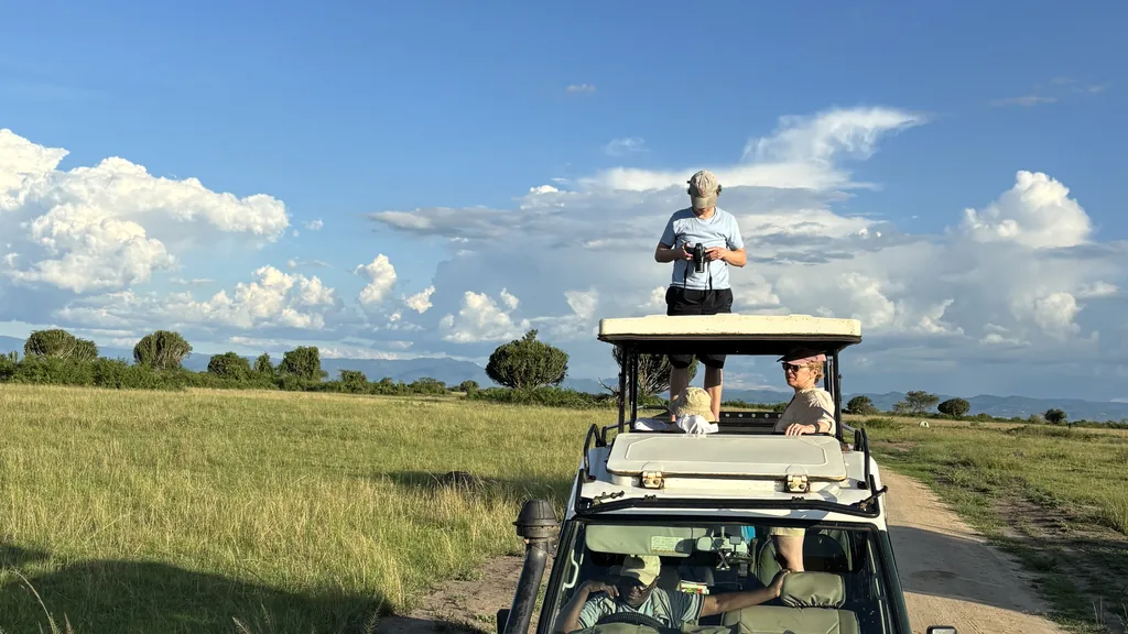 Guide standing in the roof hatch of a safari vehicle on the savanna