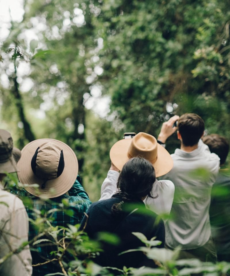 Gorilla Trekking Adventure